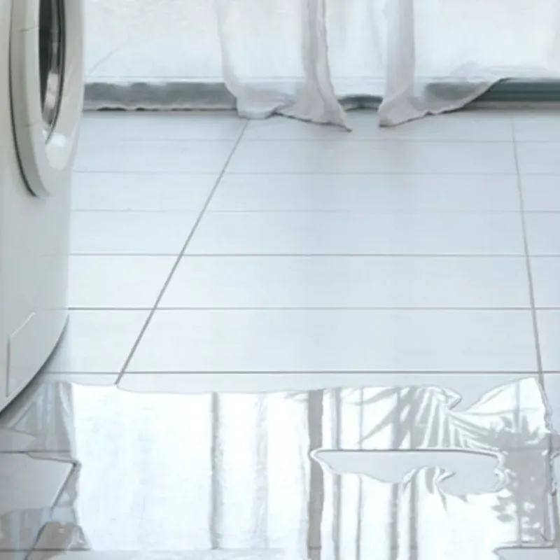 Appliance Leak Cleanup in Summit, AZ